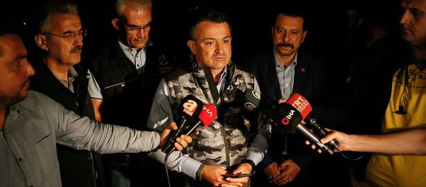 Tarım ve Orman Bakanı Bekir Pakdemirli - Sputnik Türkiye