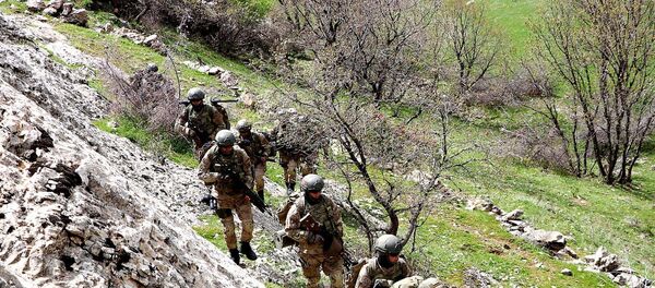 Kıran Operasyonu Kıran Operasyonu - Sputnik Türkiye