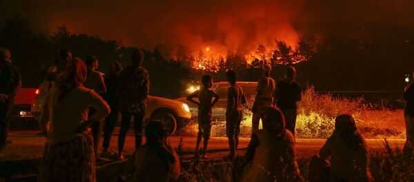 İzmir'deki orman yangını iki mahalleye yaklaştı - Sputnik Türkiye