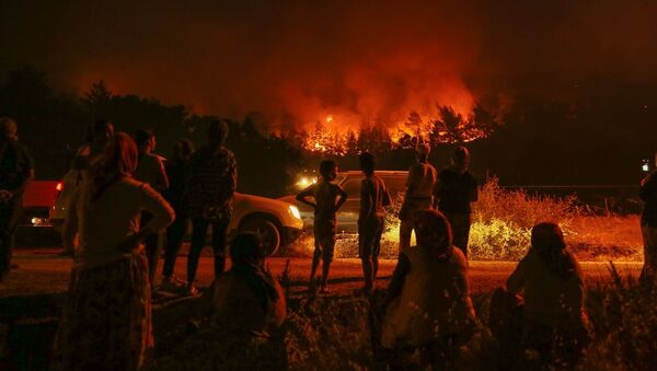 İzmir'deki orman yangını iki mahalleye yaklaştı - Sputnik Türkiye