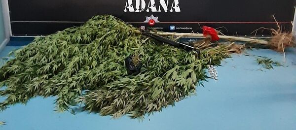 Adana - Hint Keneviri - Sputnik Türkiye