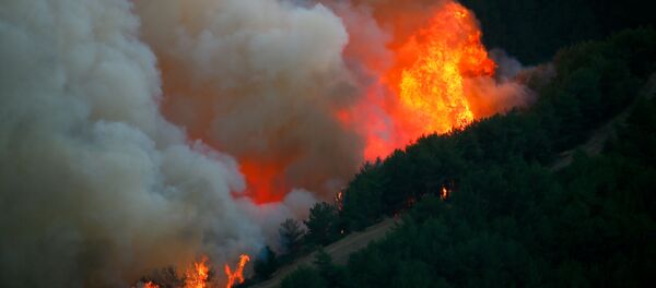 İzmir - Karabağlar - Sputnik Türkiye
