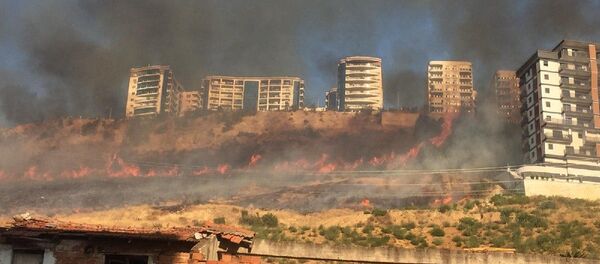 Bayraklı'da orman yangını - Sputnik Türkiye