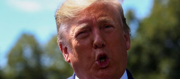  Donald Trump Beyaz Saray'da ayaküstü gazetecilerle konuşurken - Sputnik Türkiye