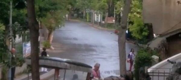 Büyükada- Fayton - Sputnik Türkiye