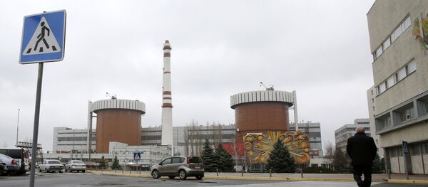 Ukrayna nükleer santral - Sputnik Türkiye