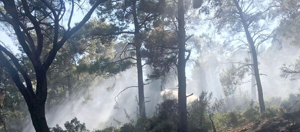 Muğla, Marmaris, orman yangını - Sputnik Türkiye