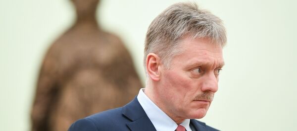 Dmitriy Peskov - Sputnik Türkiye