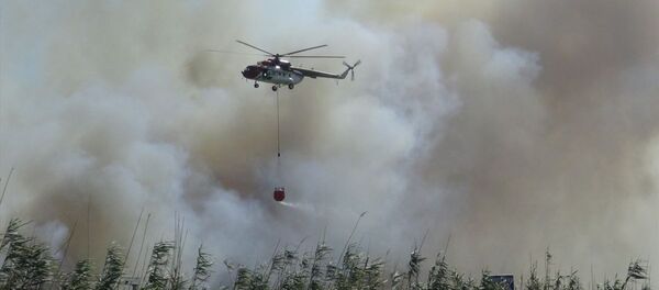 Balıkesir'in Edremit ilçesinde sazlık alanda çıkan yangın kontrol altına alındı - Sputnik Türkiye