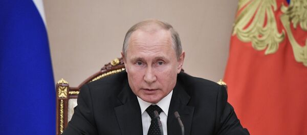 Vladimir Putin - Sputnik Türkiye