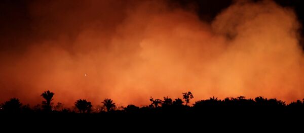 Amazon ormanları yangın - Sputnik Türkiye