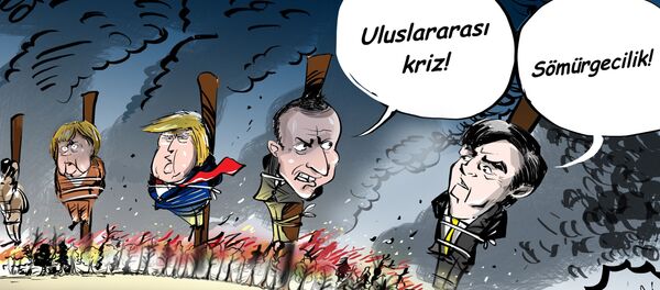 Karikatür - Sputnik Türkiye