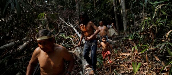 3 milyon bitki ve hayvan türüne ev sahipliği yapan Amazon ormanlarını korumaya çalışan yerliler - Sputnik Türkiye