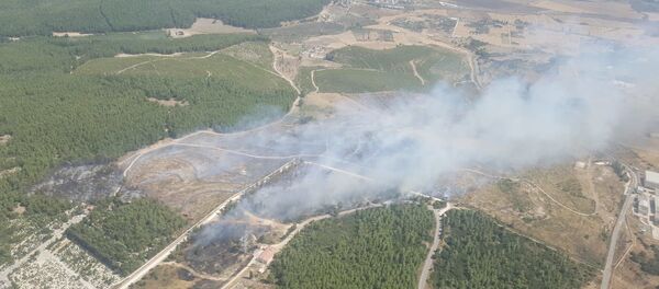İzmir - Gaziemir - yangın İzmir - Gaziemir - yangın - Sputnik Türkiye