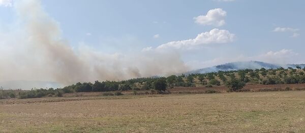 Keşan- Orman yangını - Sputnik Türkiye