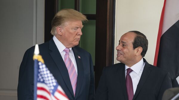 Donald Trump - Abdulfettah es-Sisi - Sputnik Türkiye
