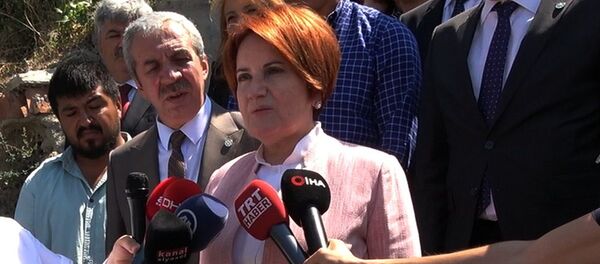 Meral Akşener - Sputnik Türkiye
