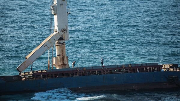 Şile'de yakıt sızdırdığı iddia edilen gemi - Sputnik Türkiye