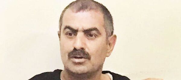 Fedai Varan - Sputnik Türkiye