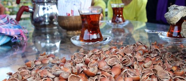 Fındık kabuğu çayı - Sputnik Türkiye