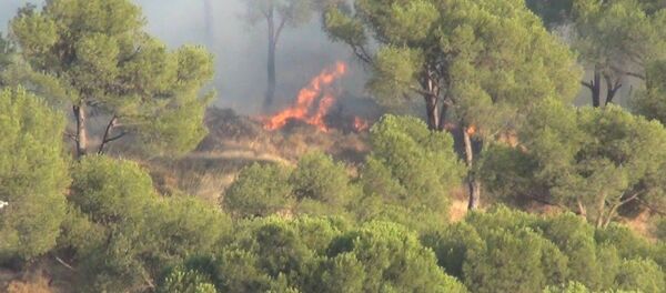 Balıkesir’in Ayvalık ilçesinde ormanlık alanda bir otomobilden atılan izmaritten çıktığı iddia yangın vatandaşların da yardımıyla kısa sürede kontrol altına alındı. - Sputnik Türkiye