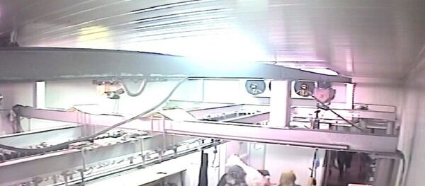 İstanbul, Maltepe, et hırsızlığı İstanbul, Maltepe, et hırsızlığı - Sputnik Türkiye