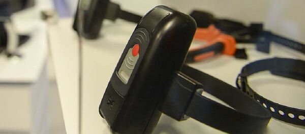 Elektronik kelepçe - Sputnik Türkiye