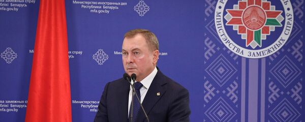 Vladimir Makey - Sputnik Türkiye