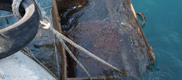 Denizden çöp konteyneri çıkardılar - Sputnik Türkiye