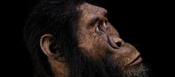 Etiyopya’da 3.8 milyon yıl öncesine tarihlenen, insanın ilk öncüllerine ait ‘neredeyse eksiksiz’ bir kafatasını inceleyen bilim insanları türün nasıl bir yüze sahip olduğunu ilk kez açığa çıkardı. - Sputnik Türkiye