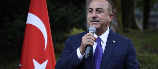  Mevlüt Çavuşoğlu - Sputnik Türkiye