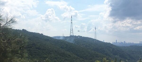 Anadolu Kavağı'nda orman yangını - Sputnik Türkiye