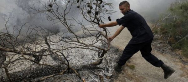 İsrail ordusu tarafından, sınırın Lübnan tarafındaki meşe ormanlarına yangın bombası atıldığı belirtildi. - Sputnik Türkiye