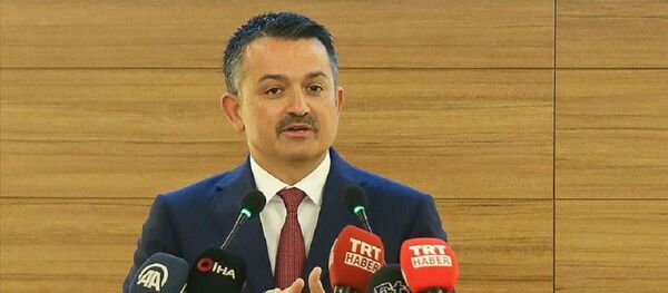 Bekir Pakdemirli Bekir Pakdemirli - Sputnik Türkiye