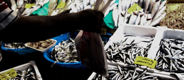 Balık - Sputnik Türkiye