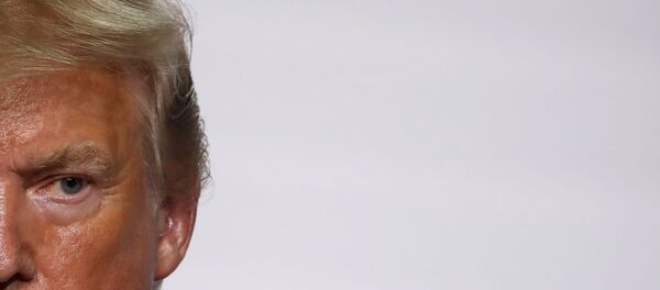 ABD Başkanı Donald Trump - Sputnik Türkiye