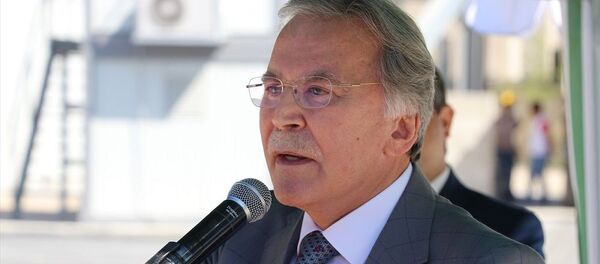 Mehmet Ali Şahin - Sputnik Türkiye