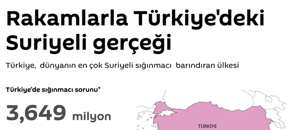 İnfografik - Sputnik Türkiye