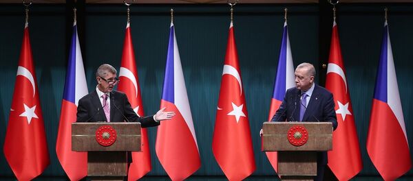 Recep Tayyip Erdoğan - Sputnik Türkiye