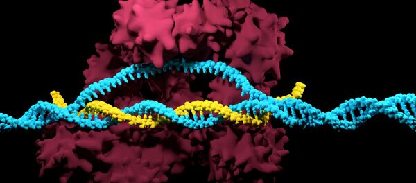 CRISPR/Cas9 - Sputnik Türkiye