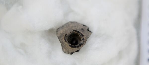 4 bin yıllık nar kabuğu - Sputnik Türkiye