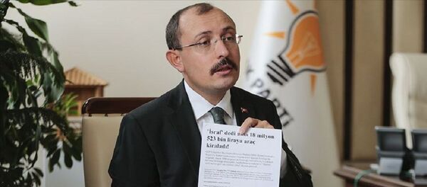 Mehmet Muş - Sputnik Türkiye