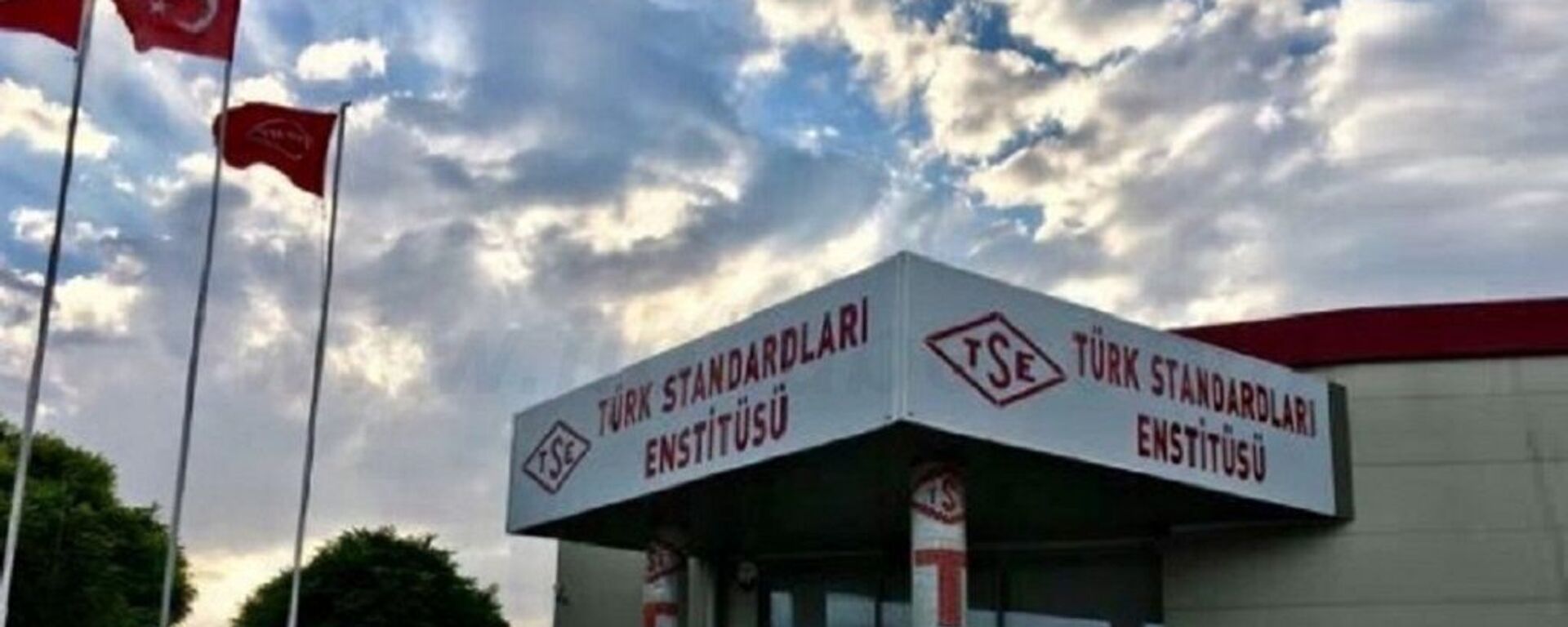 Türk Standardları Enstitüsü (TSE) - Sputnik Türkiye, 1920, 09.12.2024