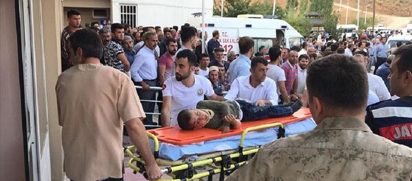 Bitlis trafik kazası - Sputnik Türkiye