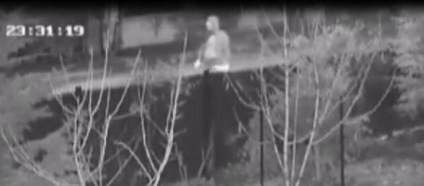 kedi köpekleri zehirleyen adam - Sputnik Türkiye