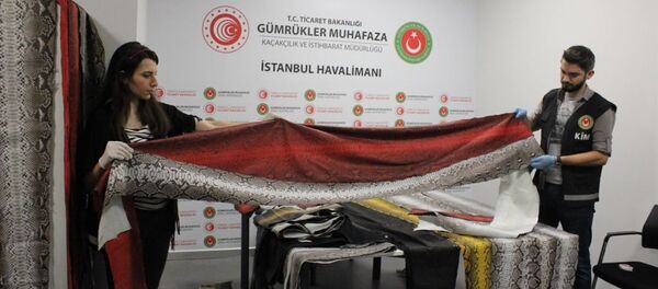 İstanbul Havalimanı'nda yılan derisi operasyonu - Sputnik Türkiye