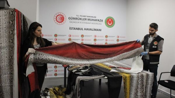 İstanbul Havalimanı'nda yılan derisi operasyonu - Sputnik Türkiye