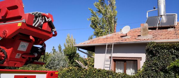 Ağaç budarken kafası ipe dolanan şahıs hayatını kaybetti - Sputnik Türkiye