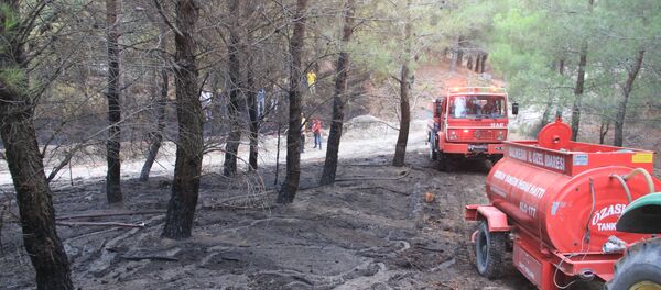 Kazdağları, orman yangını Kazdağları, orman yangını - Sputnik Türkiye