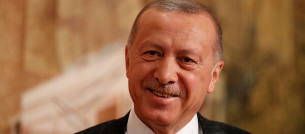 Cumhurbaşkanı Recep Tayyip Erdoğan - Sputnik Türkiye